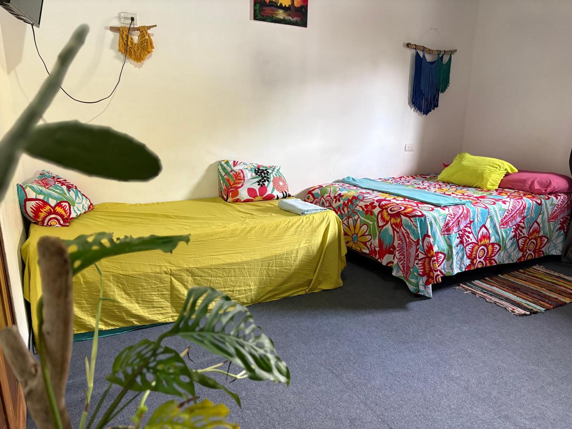 Passifloras Hostel ケポス エクステリア 写真